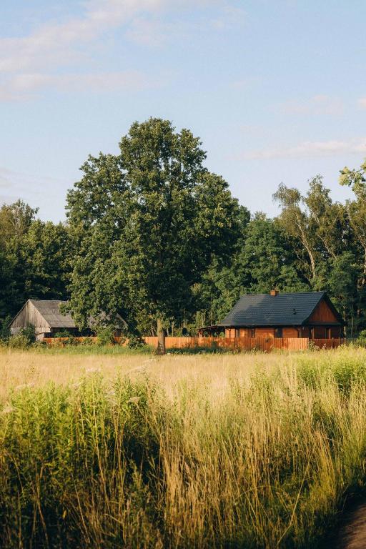 a barn and a tree in a field at Między łąką a lasem in Żdżar