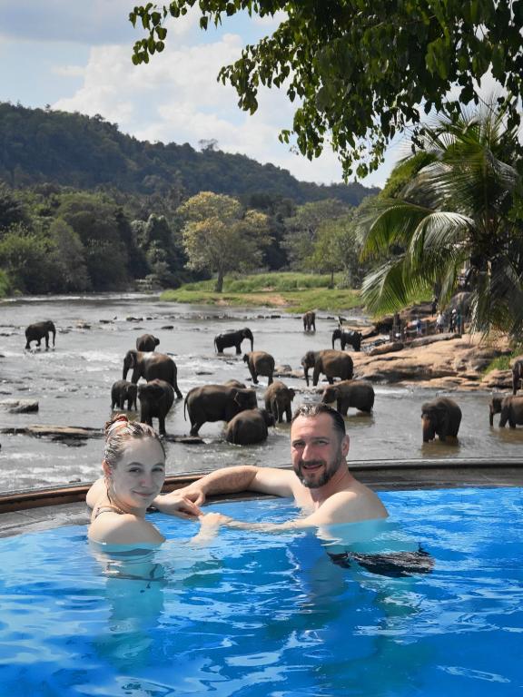 a man and a girl in a swimming pool in a river with elephants at Hotel Elephant Bay - World's Best Place to See the Elephants in Pinnawala