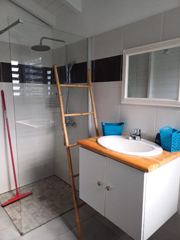 a bathroom with a sink and a glass shower at Terrasson GOLD2 in Les Abymes