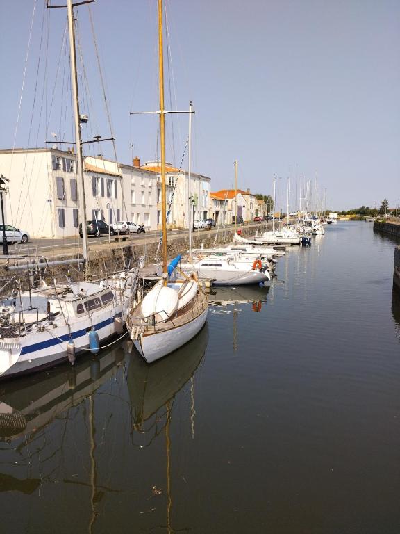 a group of boats are docked in a harbor at La loge de la corderie in Marans