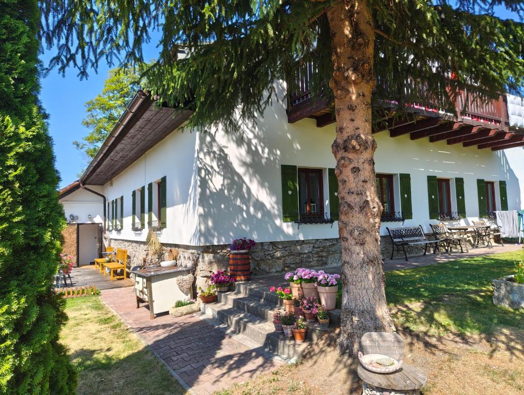 a house with a tree in the yard at Pension Pumperle in Strážný