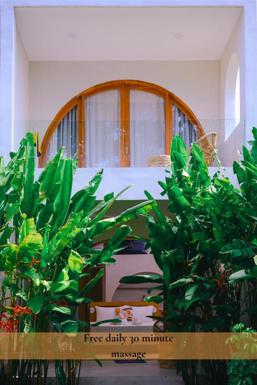 a group of potted plants in a room at Namal Resort - Free scooter and Gym access in El Nido