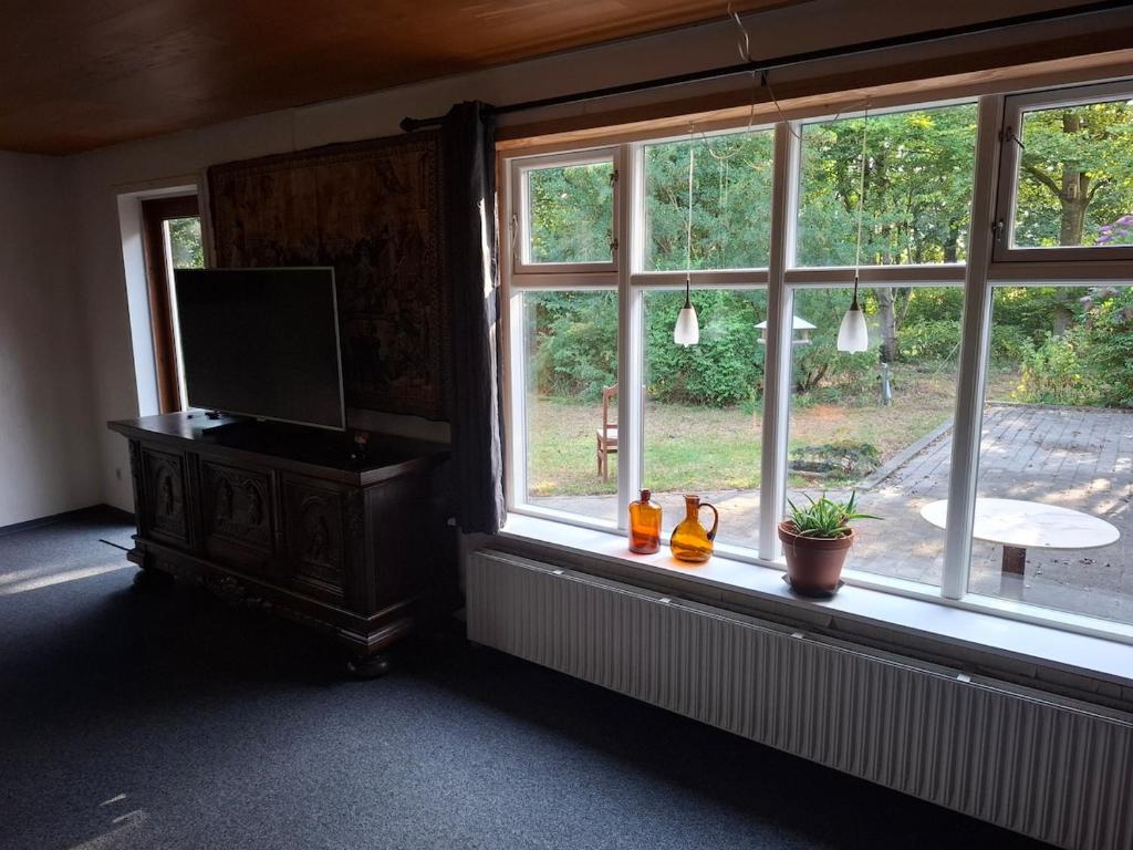 ein Zimmer mit Fenster und Flachbildfernseher in der Unterkunft kærgård in Bøvlingbjerg