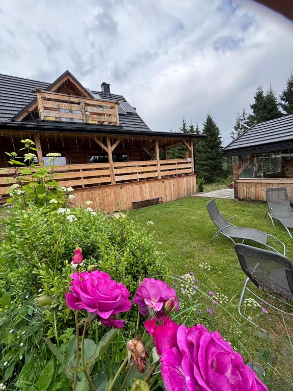 a house with pink roses in front of it at Gościniec Dziubasowki in Nowy Targ