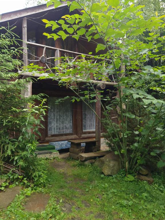 an outside view of a house in a garden at PetrikHolm in Tatariv