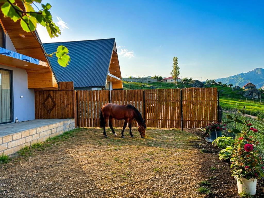 a brown horse grazing in front of a fence at Shahdag A-Frame in Qusar