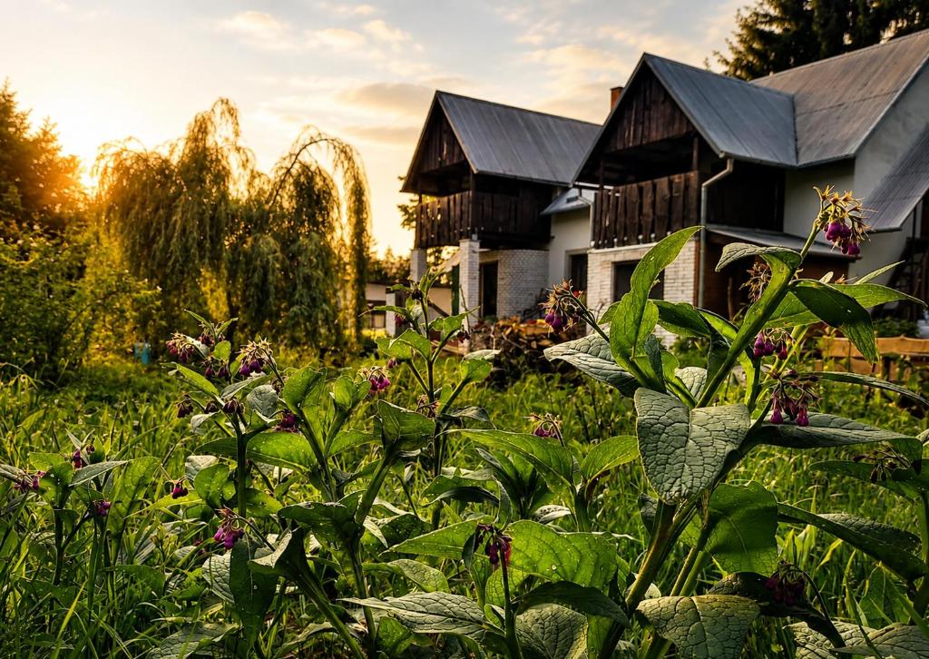 a garden with plants in front of a house at Siedlisko Po Kolei - blisko Kazimierza Dolnego in Głusko Duże