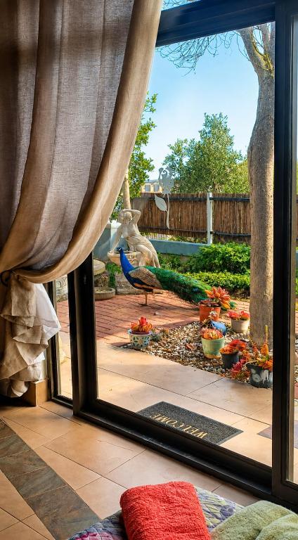 a window with a view of a peacock in a yard at Peacock Cove Self Catering Studio in Gordonʼs Bay