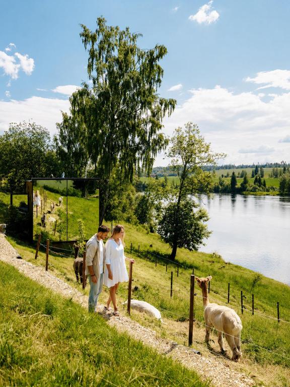 a man and woman walking down a path with sheep at WonderInn Riverside in Årnes