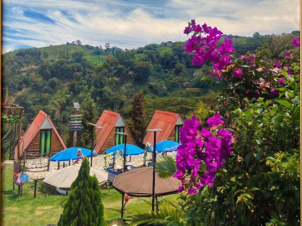 eine Gruppe von Häusern mit Tischen und lila Blumen in der Unterkunft Ecohotel Java in Manizales