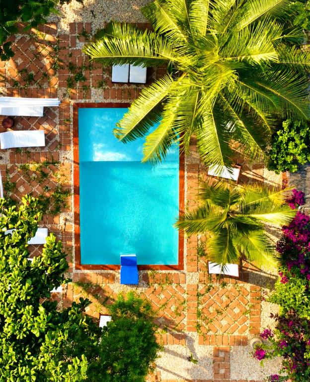 an overhead view of a swimming pool with a palm tree at Ocean Breeze Boutique Hotel in Nungwi