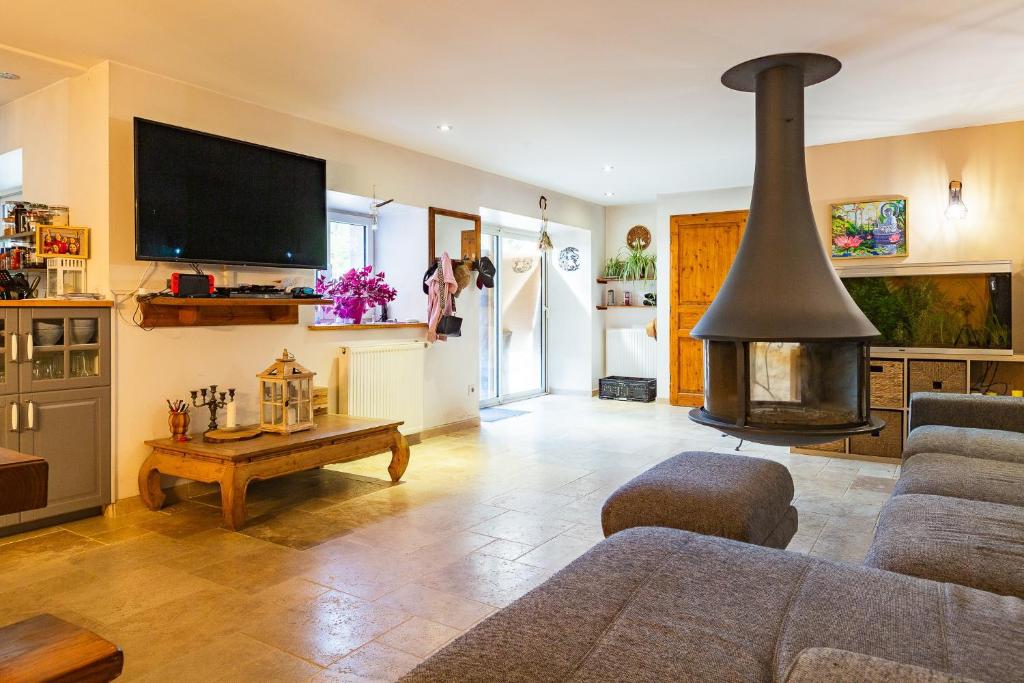 a living room with a couch and a fireplace at Les Combes Claires in Saint-Julien-Labrousse