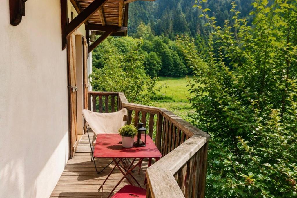 Spacious and bright with balcony & Mont Blanc view