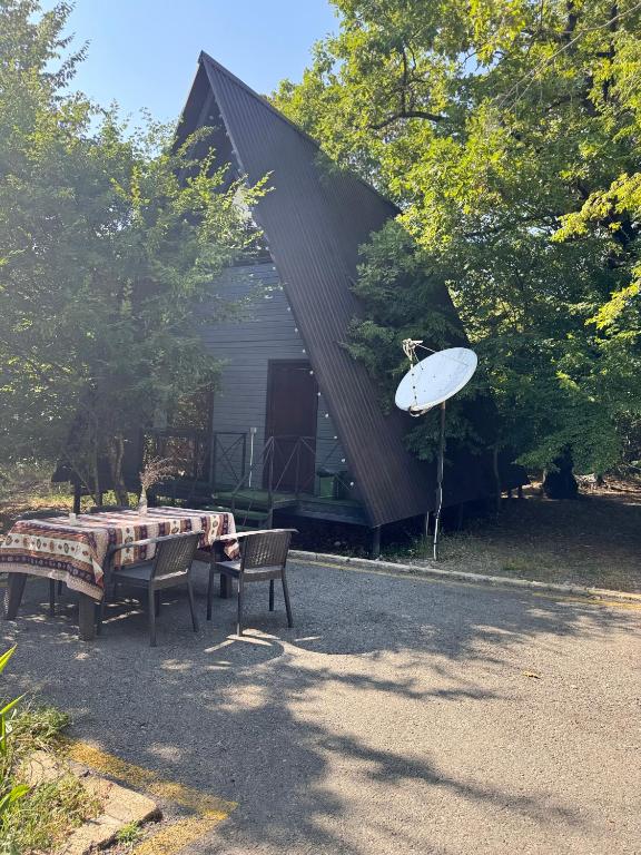 a house with a surfboard on the side of it at Damla in İsmayıllı
