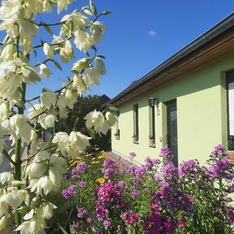 a garden of flowers in front of a building at GRAHLS- Ferienapartement in Feldberg