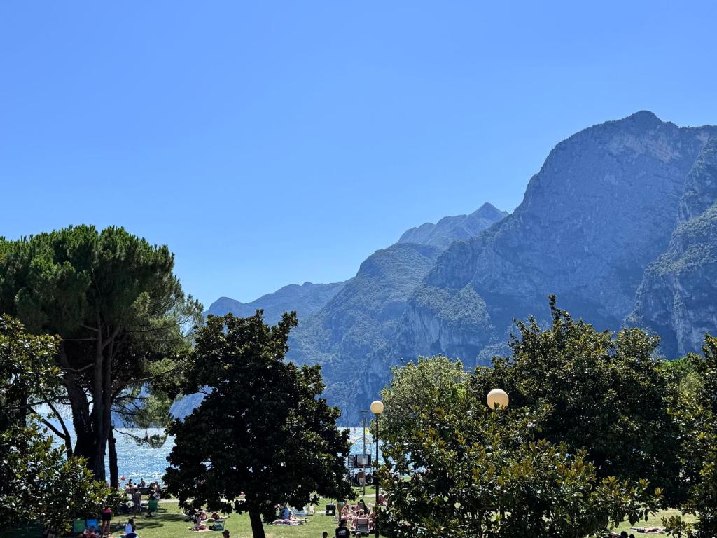 a group of trees in a park with mountains in the background at Terrazza sul Lago in Riva del Garda