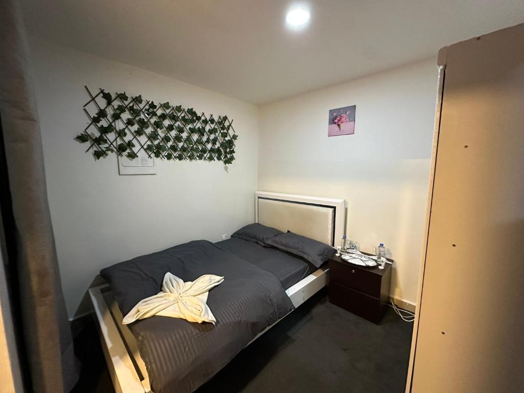 لابی و فضای عمومی Tiny Master Room - تصویر ۵