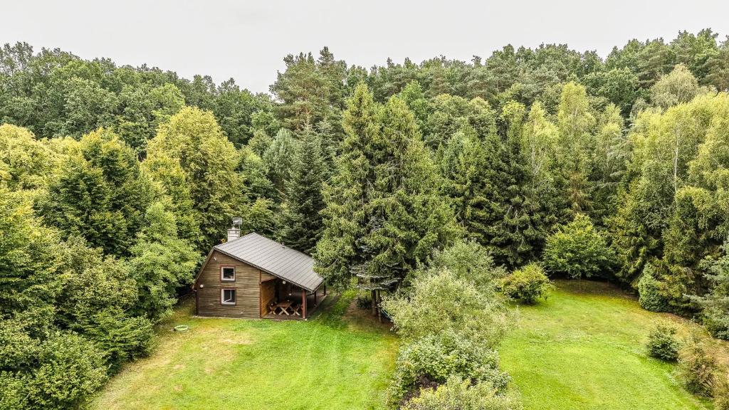 an aerial view of a cabin in the middle of a forest at Siedlisko Basiówka in Alfredówka
