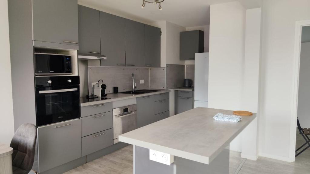 a kitchen with stainless steel appliances and a counter at Appartement la Liberté in Albertville