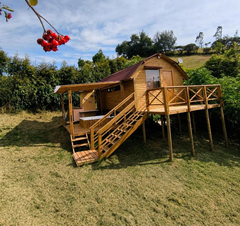 a tree house with a staircase in the grass at GlampingTerraza del cielo con jacuzzi in Chocontá