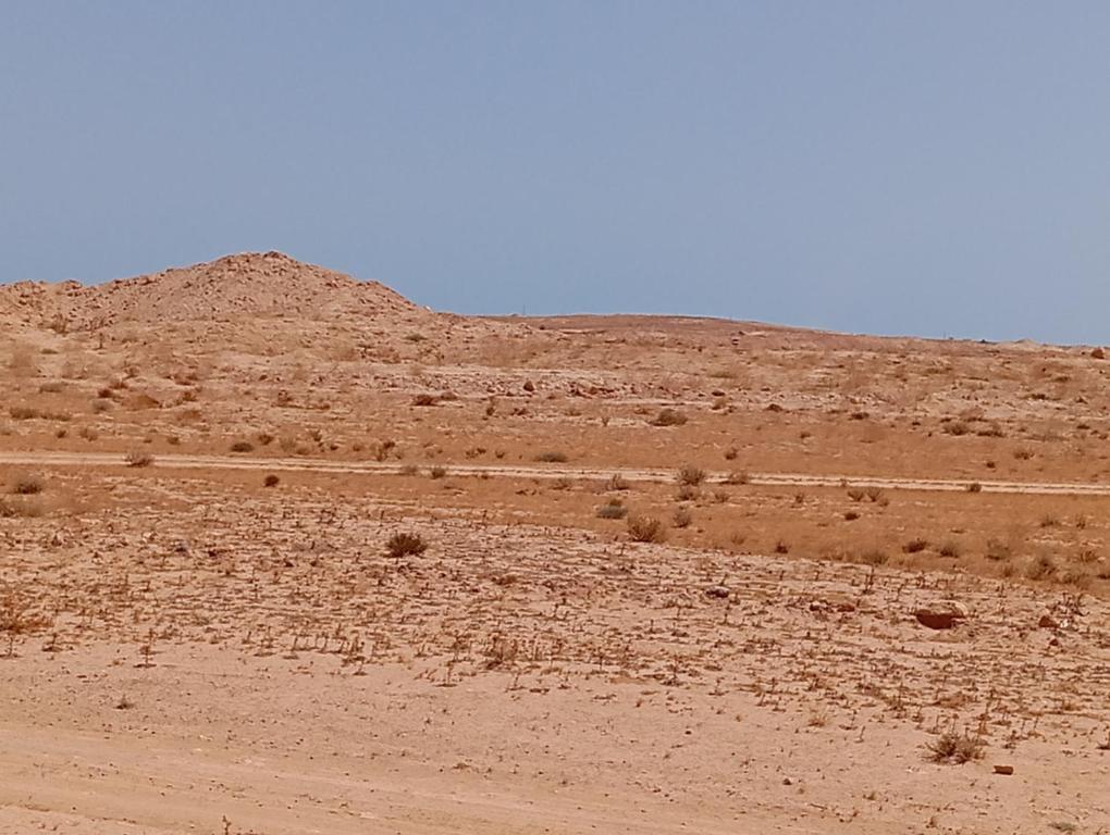 a dirt road in the middle of a desert at DAR Essaad in Wadhraf