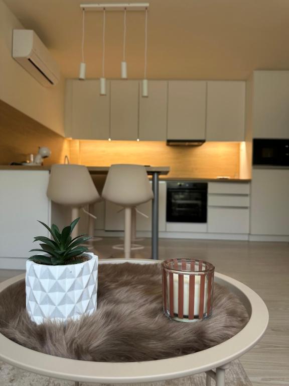 a kitchen with a table with a potted plant on it at MiLu Apartman in Győr