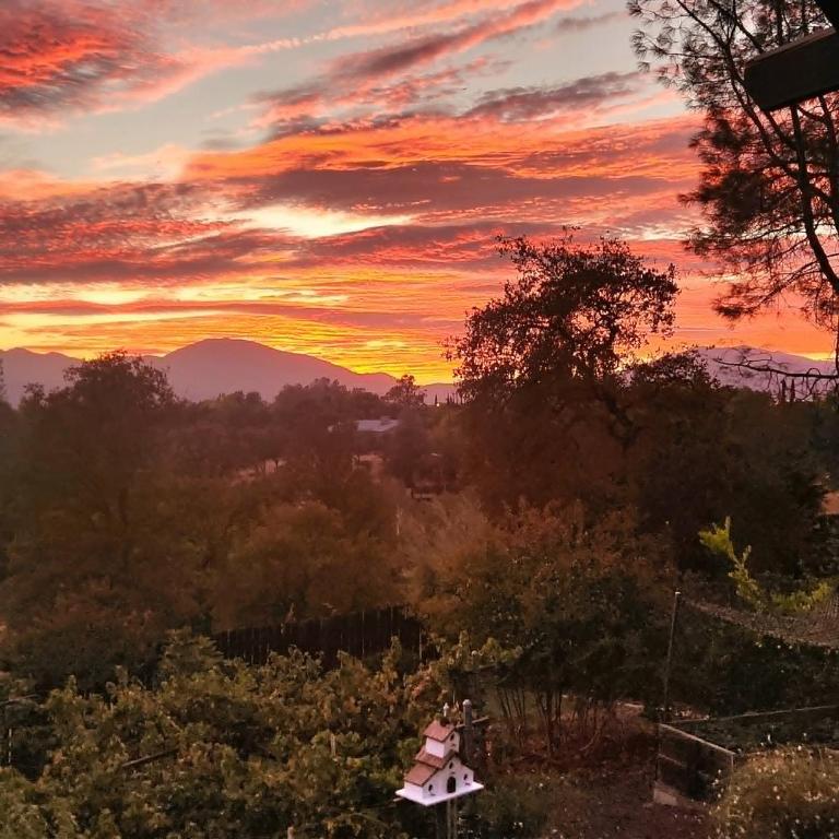 a woman sitting on a bench in a garden at sunset at The God Spa in Redding