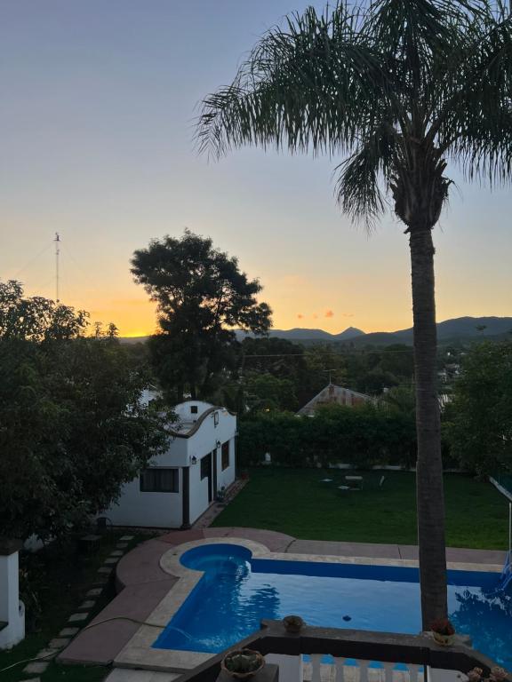 a villa with a palm tree and a swimming pool at aromasdelpandeazucar in Unquillo