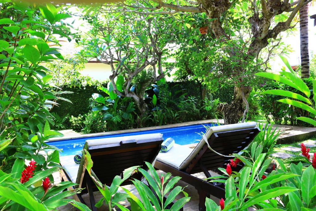 Lovina Beachhouse Villas - 庭の景色を望むヴィラ