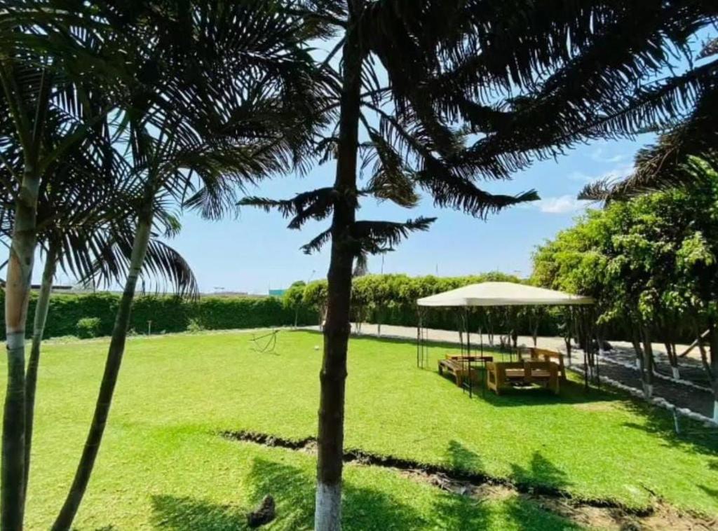 a lawn with a picnic table and an umbrella at Cabaña de campo privada con piscina in Casa Blanca Hacienda
