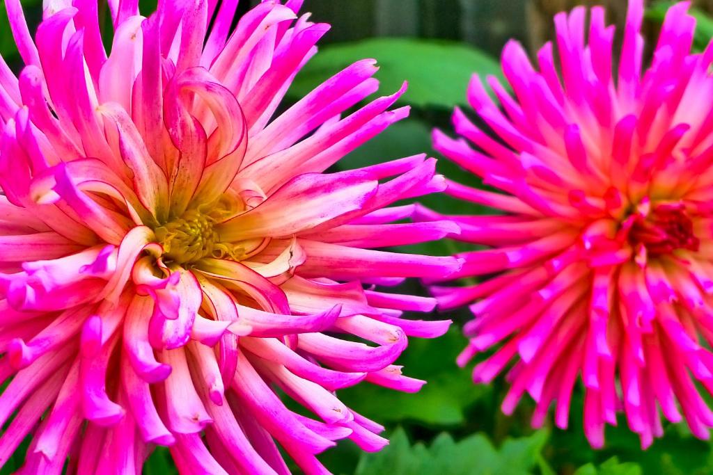 Glenalvon Lodge Motel - Resim 20