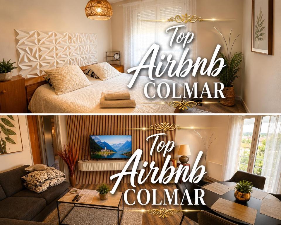 Coup de cœur à Colmar Appartement en plein centre – photo 2