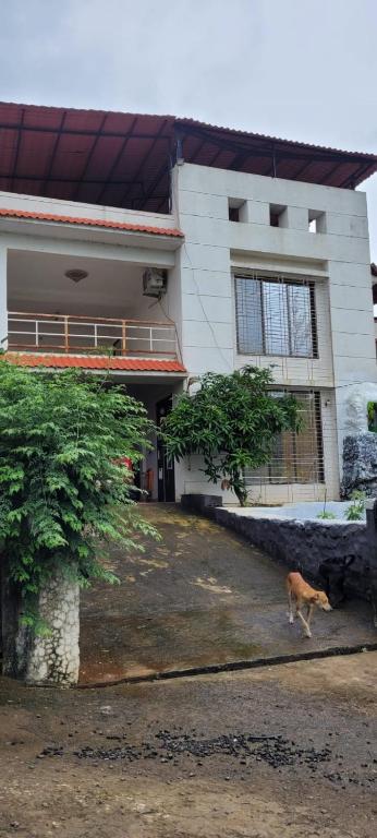 a dog walking in front of a house at Gods Gift in Murbād