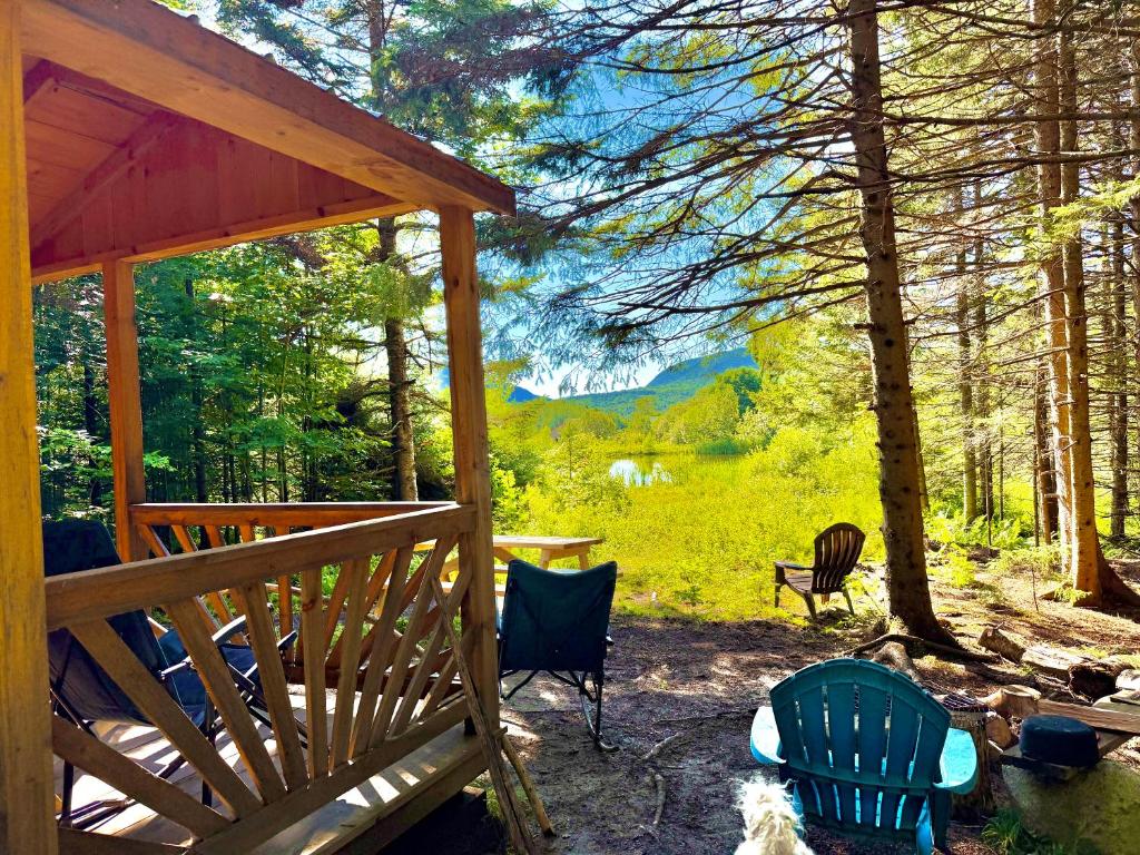 a porch of a cabin with chairs and a tree at Lookout Cabin in Barton