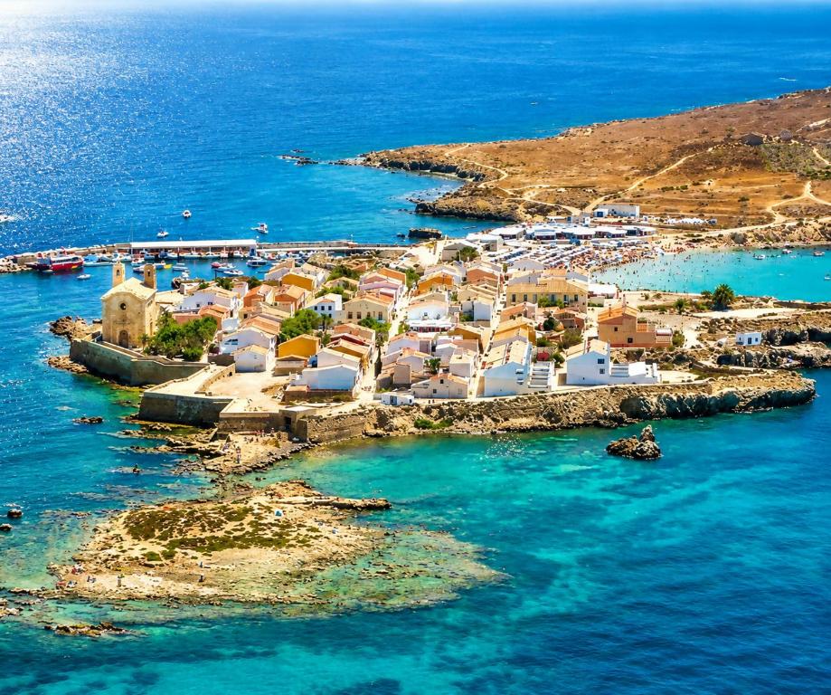 an aerial view of a small island in the ocean at Vientos de Tabarca 3 in Tabarca