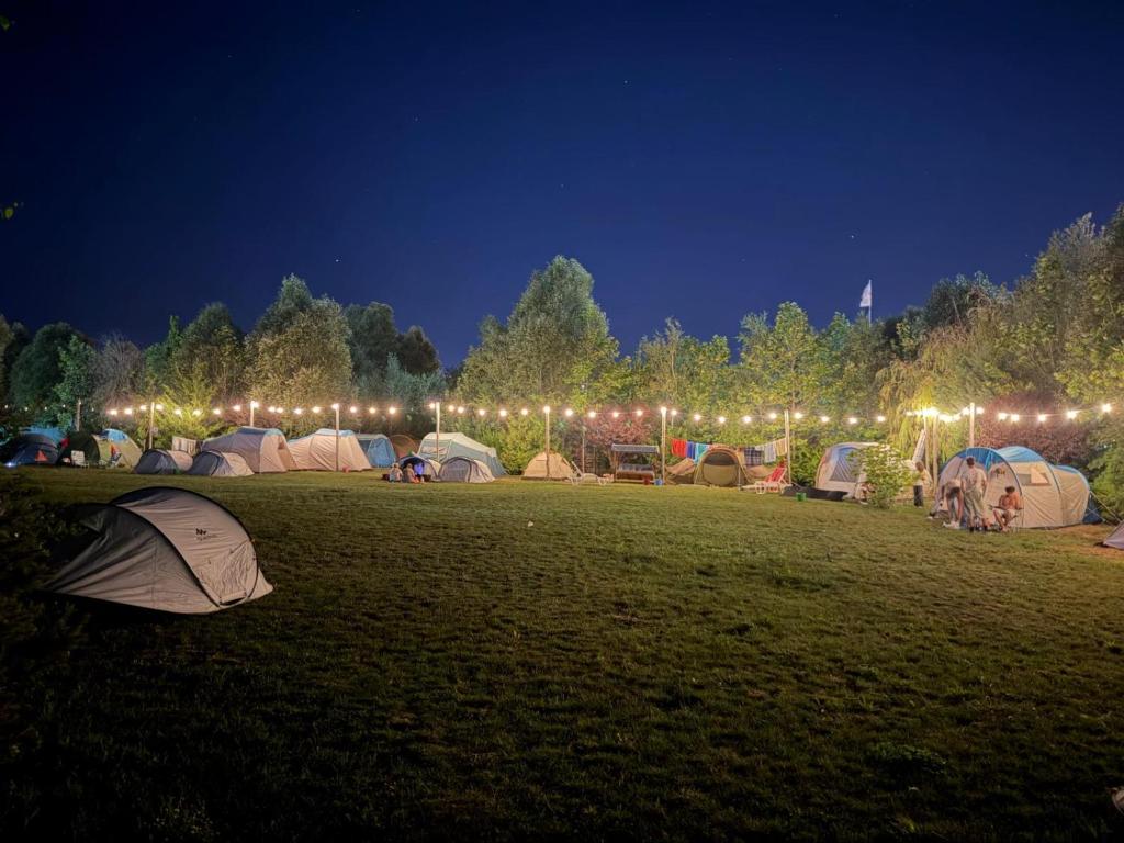 a group of tents in a field at night at Camping Sandalandia in Vama Veche