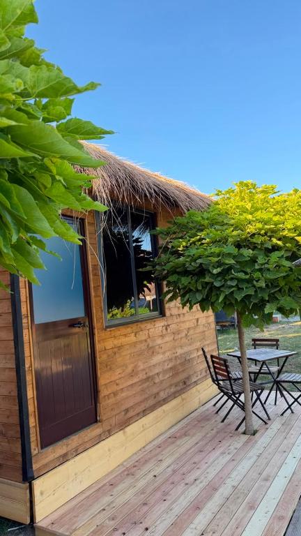 Windmill Shkodra Gesthouse Camping & Grill - 