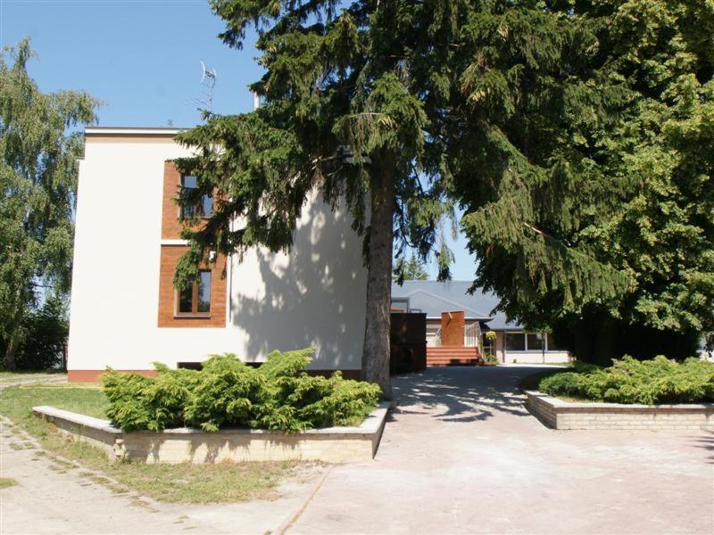 a white building with a tree and some bushes at OW Viva in Jantar