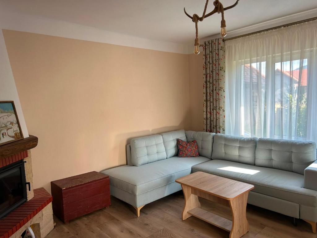 a living room with a couch and a table at La Nea Traian in Vama Buzăului