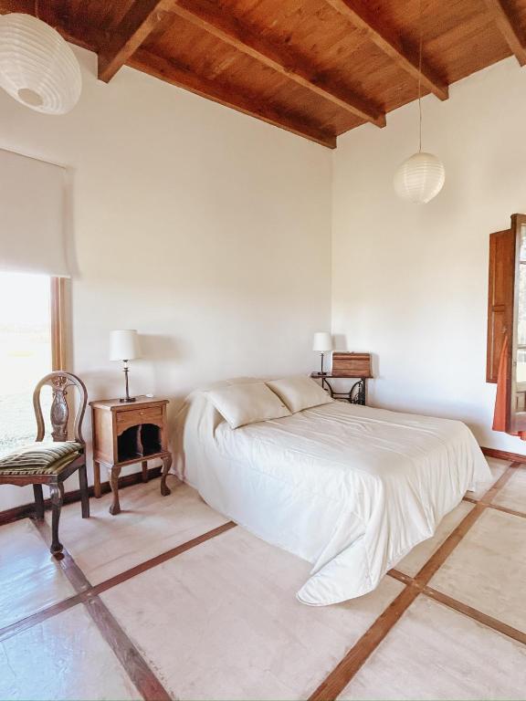a white bedroom with a bed and a chair at Hostería Rural Les Aldudes in San Andrés de Giles