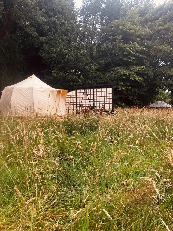 a white tent in a field of tall grass at Sora Bell Tent in Coxwold