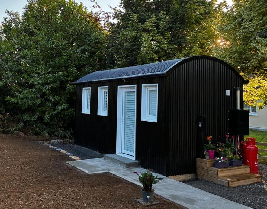 a black shed with a blue door in a yard at Meadow Hut in Oughterard