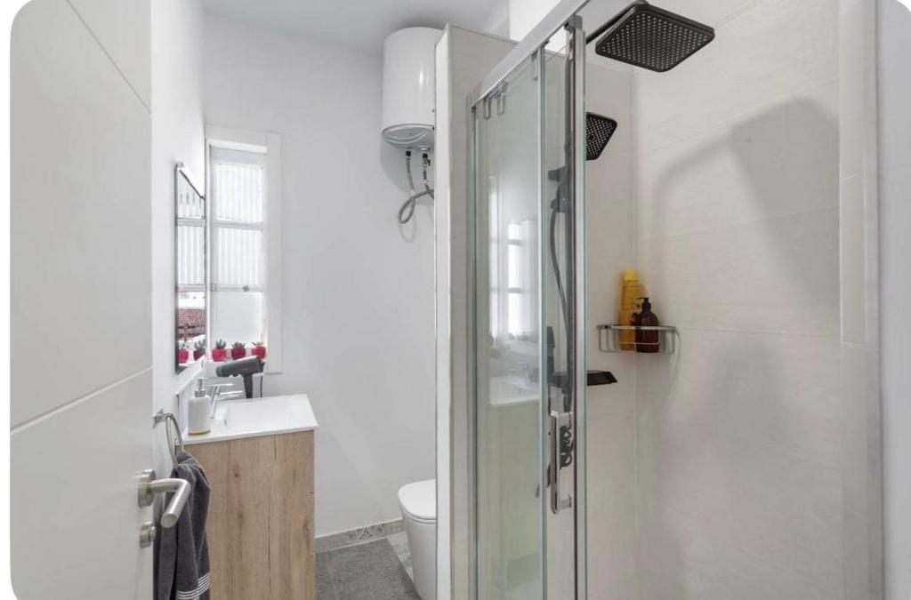 ein Badezimmer mit Dusche, Toilette und Waschbecken in der Unterkunft Estudio Key in Icod de los Vinos