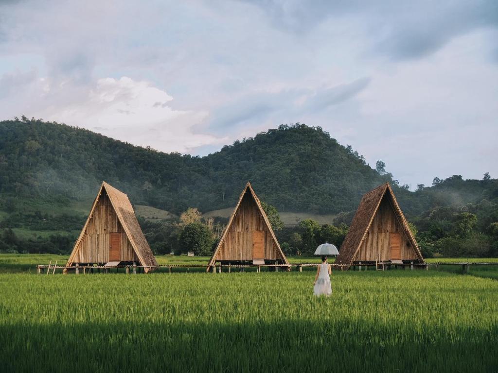 a woman in a field with some grass huts at Khao Kiang Na เขา เคียง นา in Ban Muang Kut
