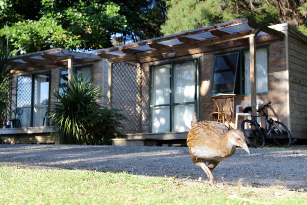 Russell-Orongo Bay Holiday Park