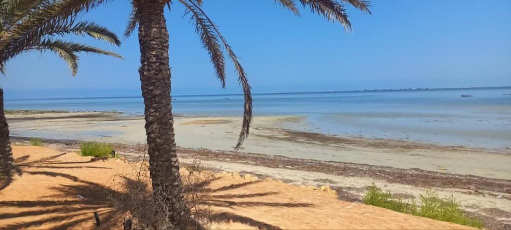 a beach with two palm trees and the ocean at maison de charme in Fafou