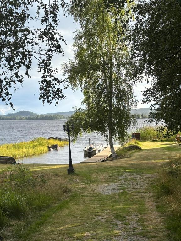 a park with a lake and a street light and trees at Mysig timmerstuga med sjötomt in Grangärde