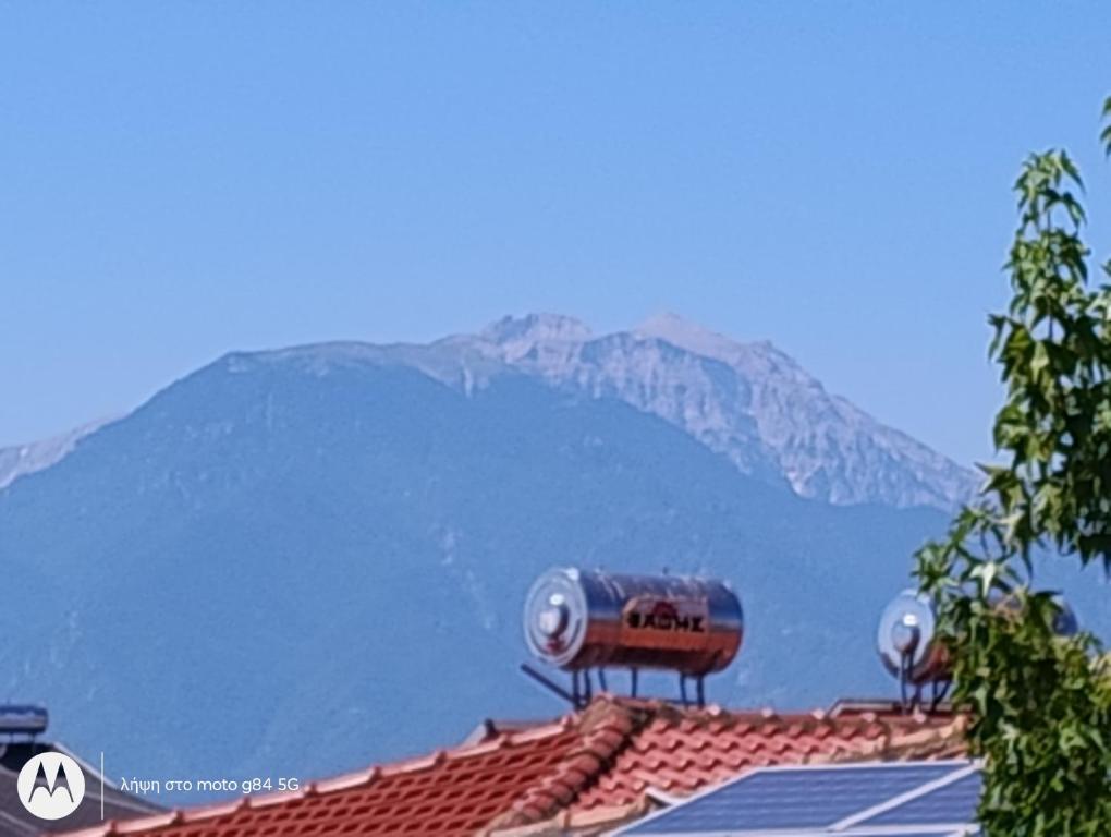 a roof with a thermos on top of a mountain at Catalina studios 2 in Olympic Beach