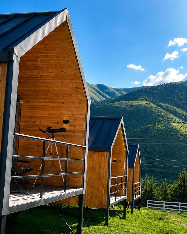 a row of huts in the grass with mountains in the background at Ayu Eco Hotel in Karakol