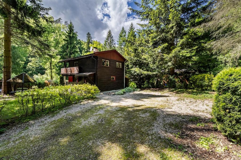 a small house in the middle of a forest at Cottage Owl 